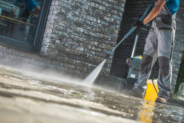 Best Sidewalk and Walkway Cleaning  in Sneads, FL