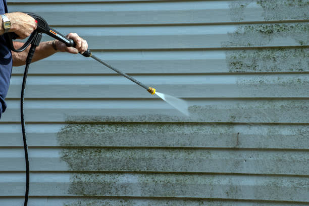 Best Dumpster Area Cleaning  in Sneads, FL